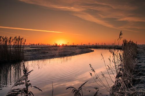 Zonsopkomst aan het water tijdens een koude ochtend in Nederland