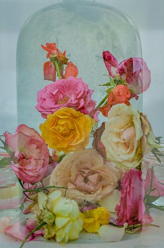 Les roses sont éternelles