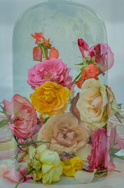 Roses are Forever van Hannie Kassenaar