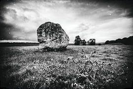 Rots hard sur Joep Oomen