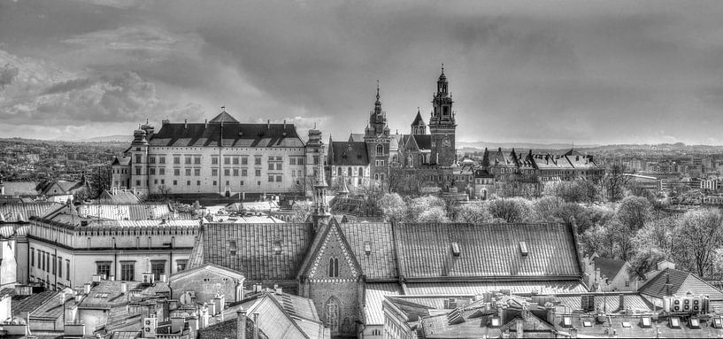 Kasteel Wawel en oude stadsdaken van Torsten Krüger
