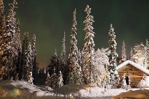 Northern Lights Finnish Lapland