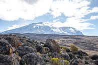 Karge Ebene am Kilimandscharo von Mickéle Godderis Miniaturansicht