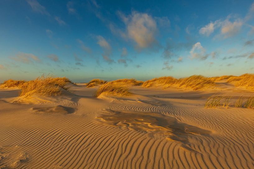 Duinen structuren van Andy Luberti