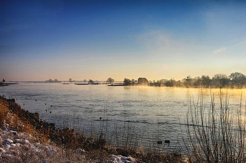 Foggy winter day near the Lek