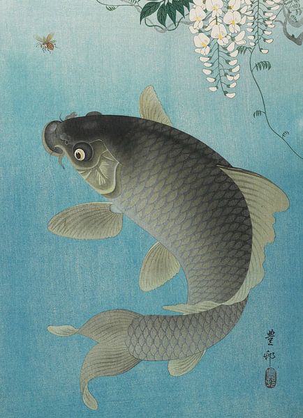 Karperspringen, Ohara Koson van Meesterlijcke Meesters