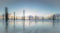 Palendorp Petten aan Zee