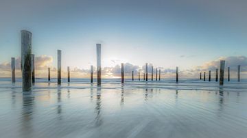 Palendorp Petten aan Zee van Wout Rouwmaat