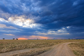 Storm op komst van Yves Dohmen