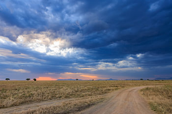 Storm Approaching