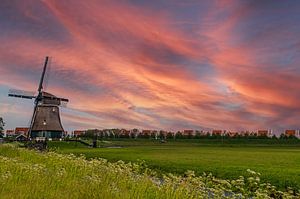 Holland