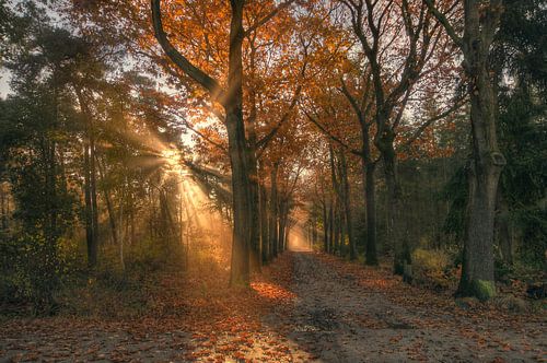 Landschap - Zonsopkomst