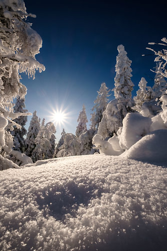 Lumière d'hiver