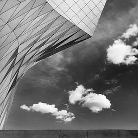 Musee des Confluences Lyon (Museum) von Desiree Tibosch