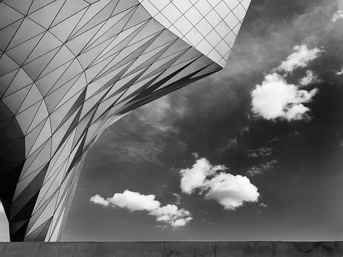 Musee des Confluences Lyon (museum) by Desiree Tibosch