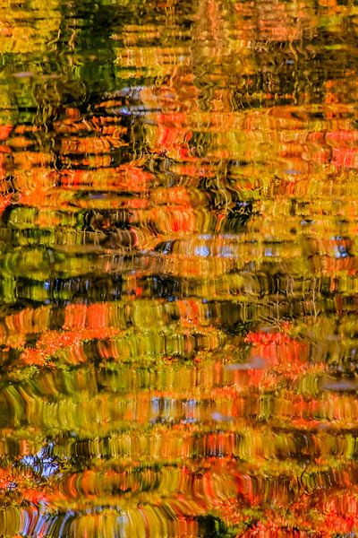 Herfstkleuren von Christel Stevens