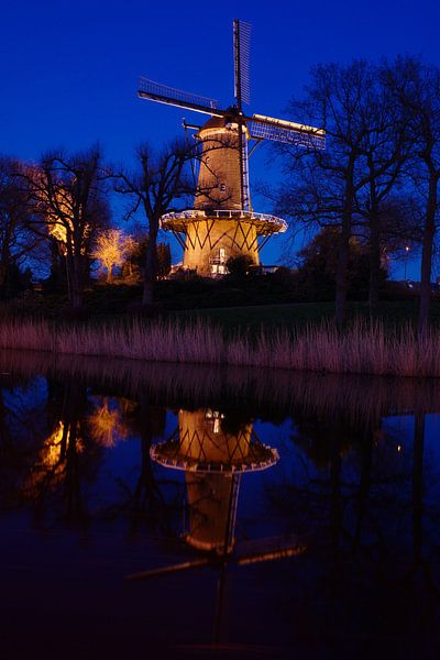 Molen van Piet - 1 van Mike Bing