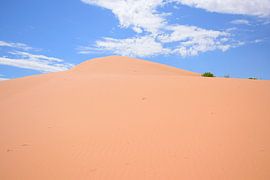 Viel höher als es aussieht von Frank's Awesome Travels