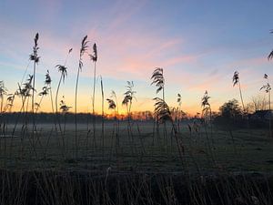 Zonsopkomst by Marcel Ter Horst