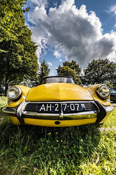 Citroen DS Break. by Frank Slaghuis