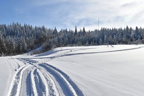 Schneemobilspuren in einem Feld