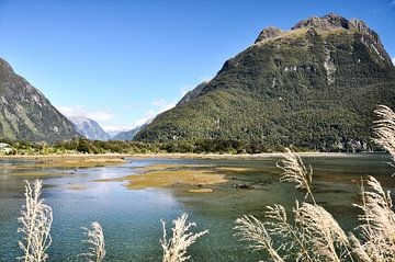 Nieuw-Zeeland: vlucht naar de Milford Sounds van Frank Photos