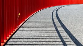 Flower by Liesbeth van Herten