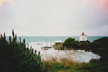 Analog photograph of a New Zealand coastline, featuring a red and white lighthouse von Kaat Zoetekouw