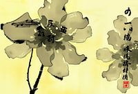 Harmonie der Kirschblüten