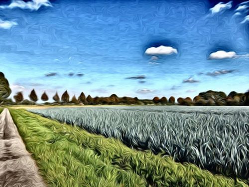 Digitale kunst , paadje langs het akkerland met prei