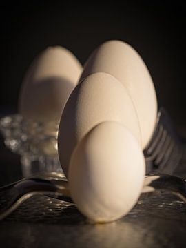 Eieren van Rob Boon