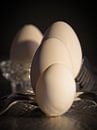 Eieren van Rob Boon thumbnail