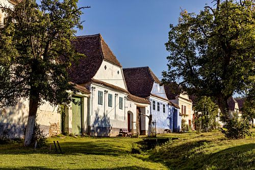 The village of Viscri