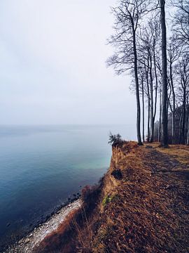 Rügen - Steilküste zwischen Binz und Sellin von Alexander Voss