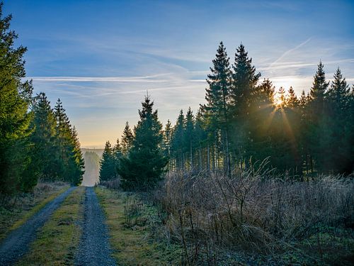 Sunset while hiking in the Harz Mountains