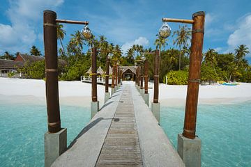 Tropisch strand met steiger op de Malediven van Michiel Dros