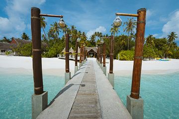 Plage tropicale avec jetée sur les Maldives