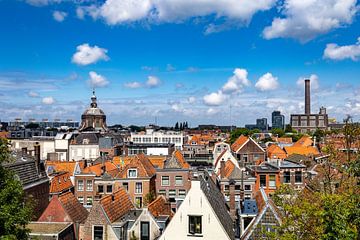 Skyline Leiden van Nicolette Suijkerbuijk