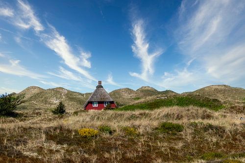 Houten huisje in de duinen van Nymindegab