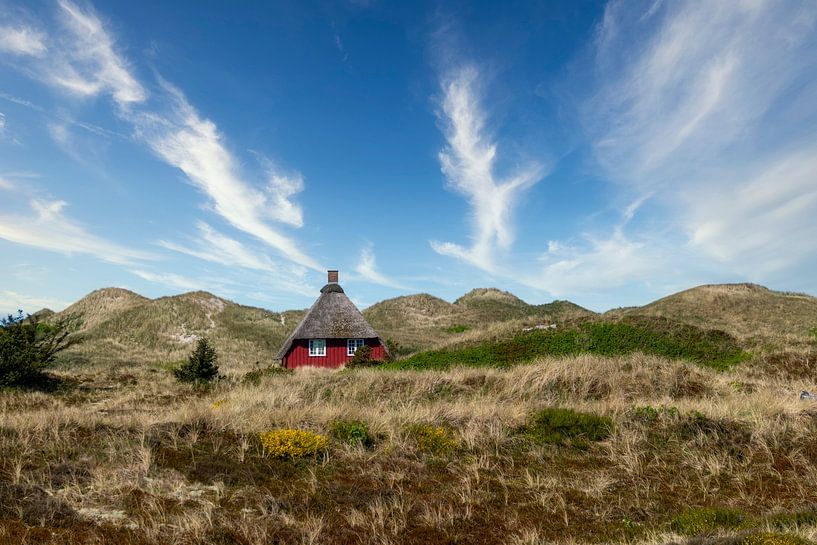 Petite maison en bois dans les dunes de Nymindegab par Dieter König