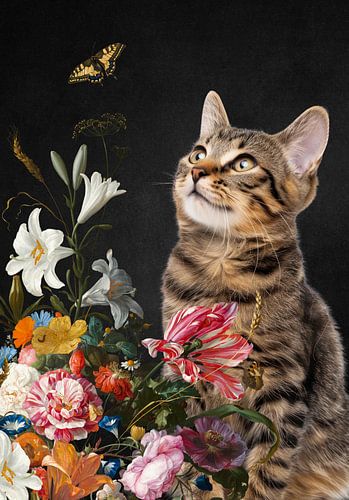 Of Cats and Butterflies