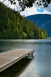 Lac de Longemer von Pascal Mairesse