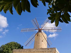Moulin Ta' ; Kola à Xaghra sur Gozo