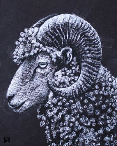 Widder von Atelier Paint-Ing