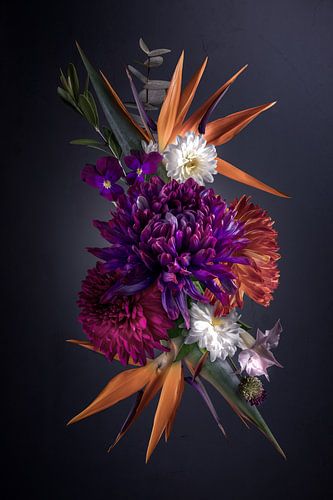 Collection de natures mortes II - Fleur d'oiseau de paradis sur Sandra Hazes