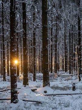 Zonsopgang Hoge Venen van Bart Ceuppens