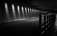 Viaduct bij Rhoon onder de A15 bij Rotterdam RawBird Photo's Wouter Putter