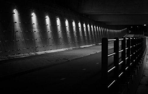 Viaduct bij Rhoon onder de A15 bij Rotterdam RawBird Photo's Wouter Putter