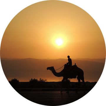 Jongen op kameel tijdens een zonsondergang in Jordanië van Nadine Geerinck