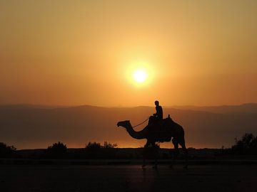 Jongen op kameel tijdens een zonsondergang in Jordanië